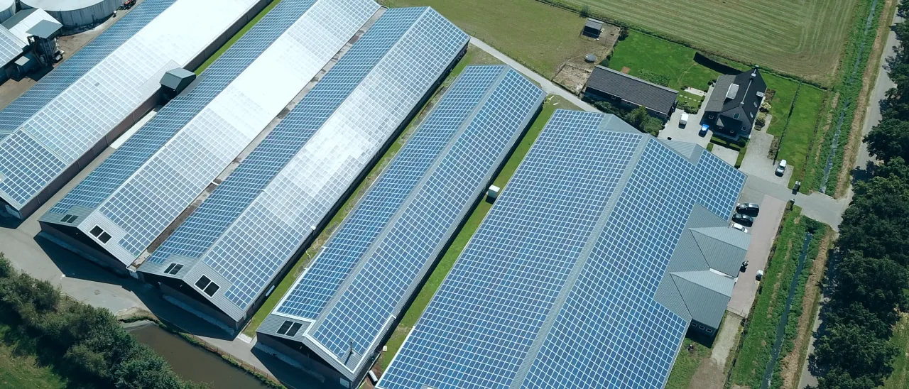 Toits de bâtiments agricoles équipés de modules solaires LONGi (photo : LONGi)